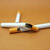 Briquette cigarette 1