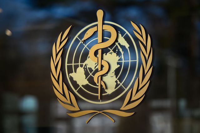 Le sigle de l'Organisation mondiale de la Santé (OMS). (illustration)