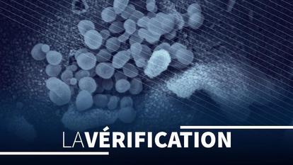 «Le virus n'existe cliniquement plus en Italie», selon le Dr Alberto Zangrillo.