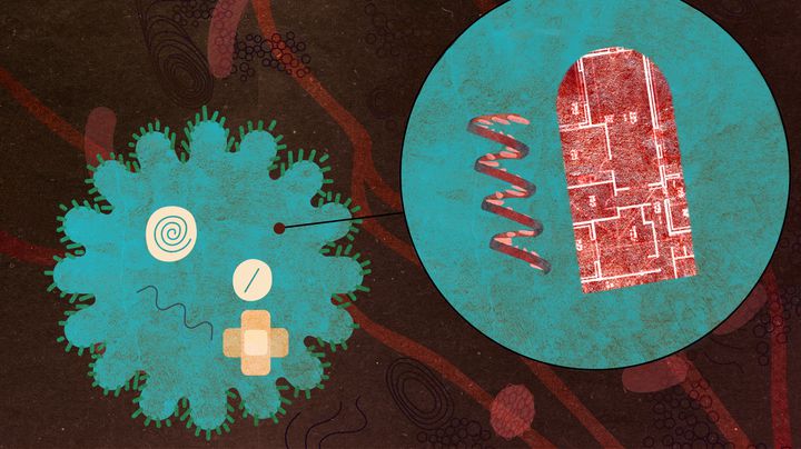 Les vaccins à vecteurs viraux utilisent un adénovirus désactivé équipé d'une séquence génétique très précise du coronavirus : celle qui code la synthèse de l'antigène, la protéine "Spike". (JESSICA KOMGUEN / FRANCEINFO)